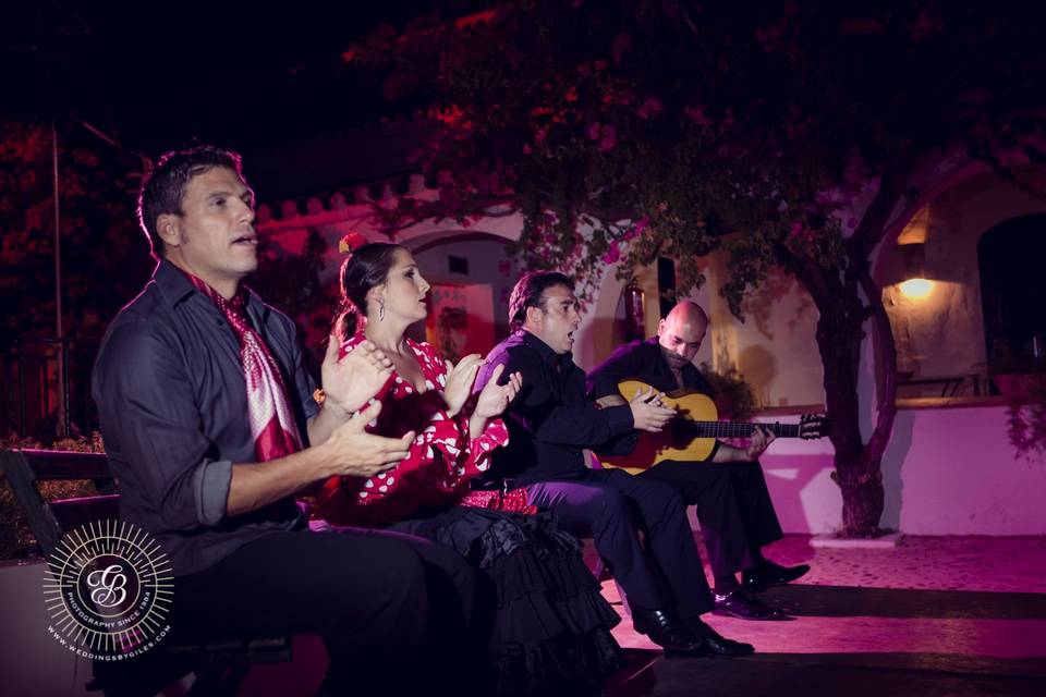 Flamenco privado