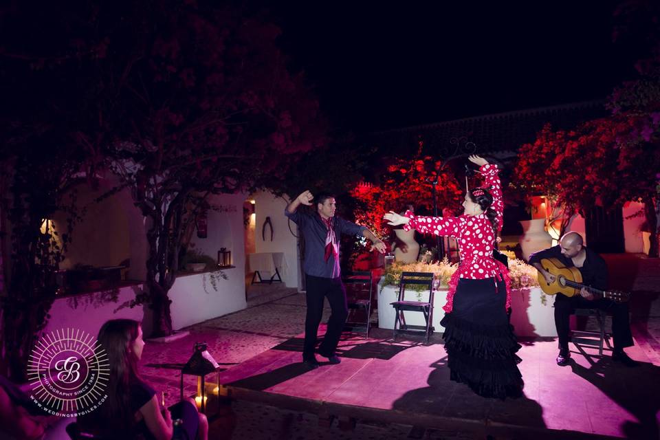 Flamenco privado