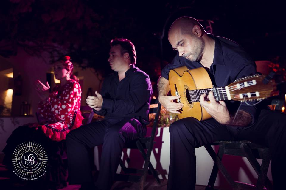 Flamenco privado