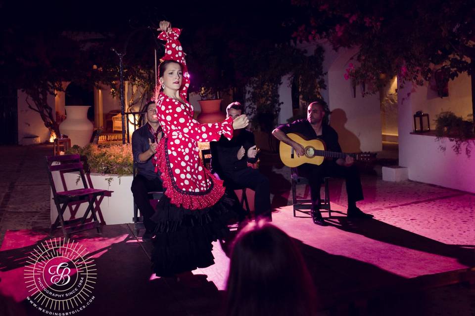 Flamenco privado