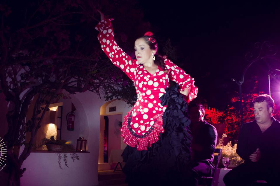 Flamenco privado