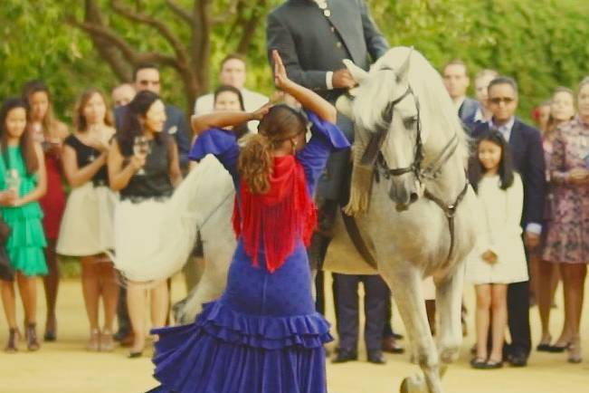 Espectáculo ecuestre bodas