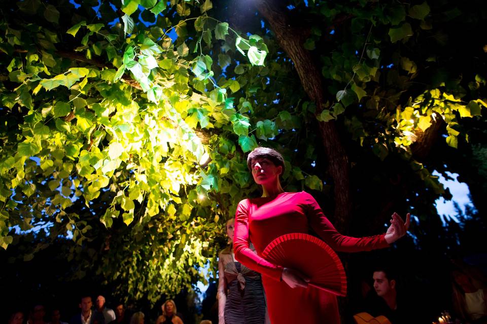 Evento de Flamenco