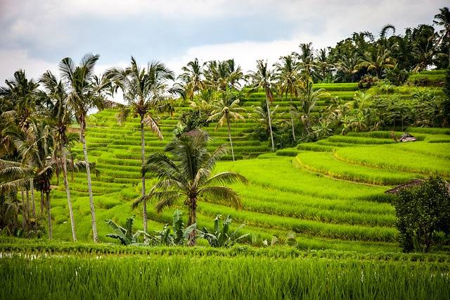 Bali, Indonesia