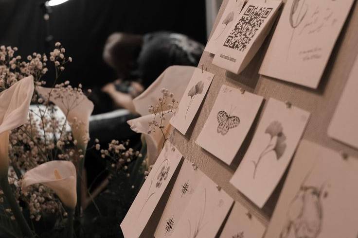 Puipui Eventos