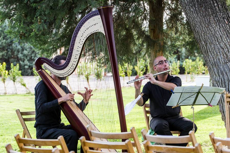 Ambientación musical