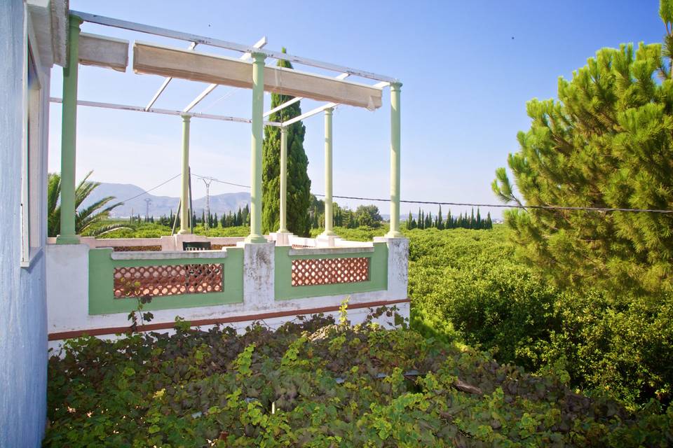 Terraza entre naranjos