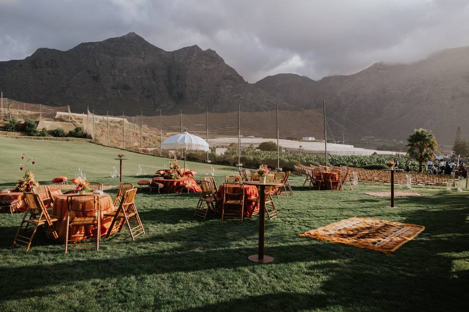 Campo de prácticas