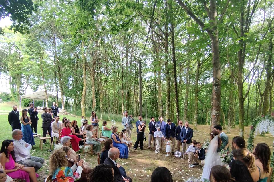 Civil en el bosque