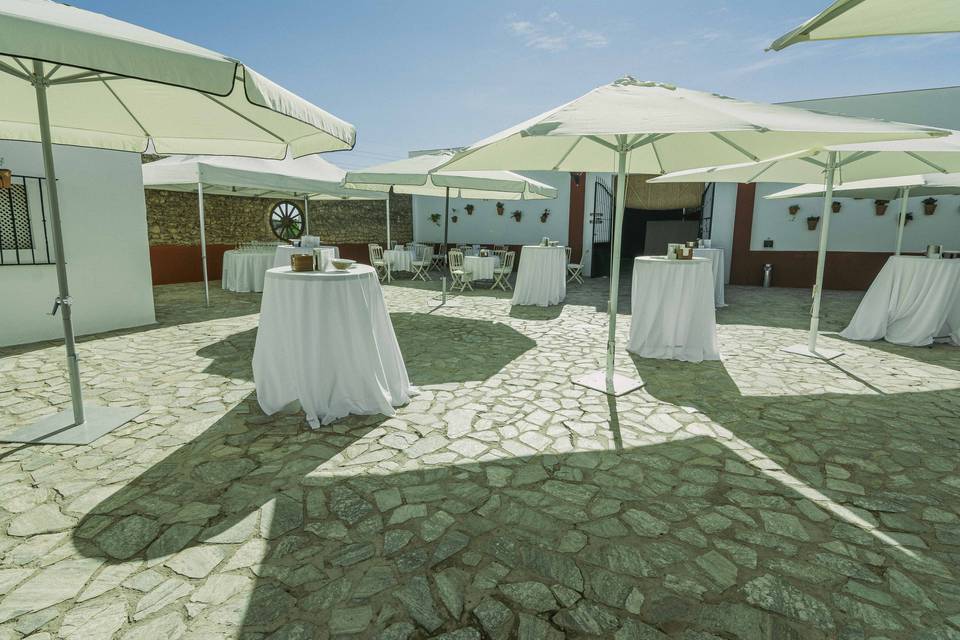 Finca Campo Alegre