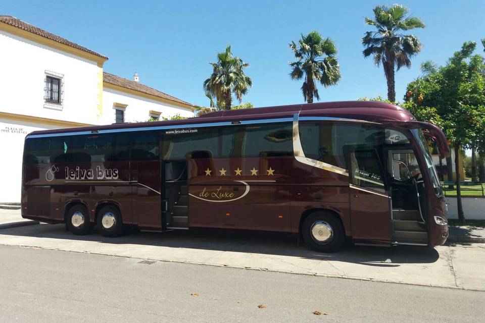 Leiva Bus