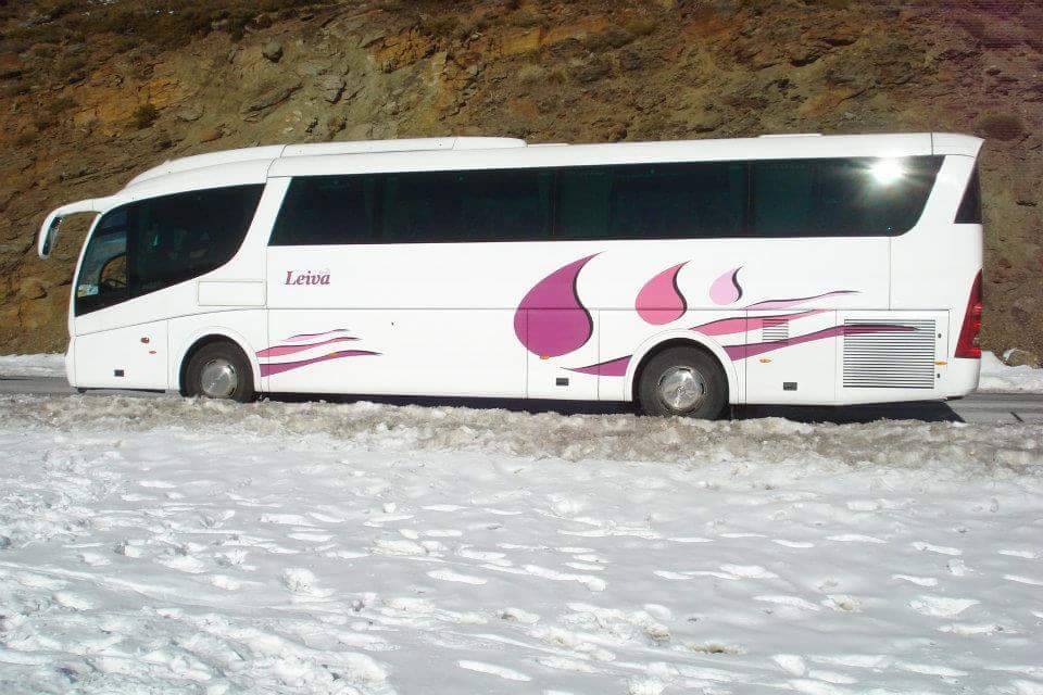 Leiva Bus