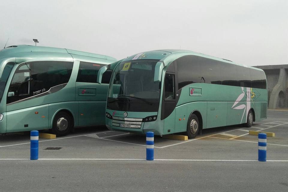 Leiva Bus