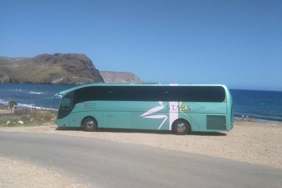 Leiva Bus