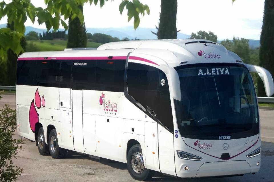 Leiva Bus