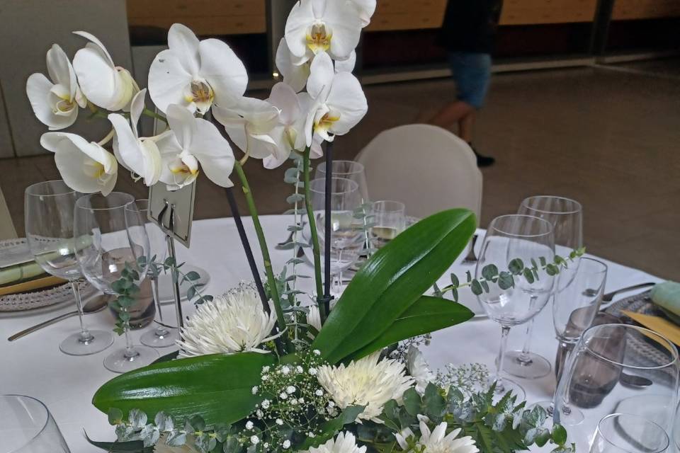 Centro de mesa con orquídeas