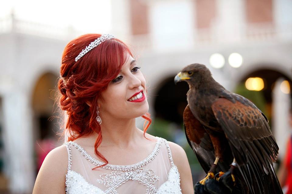 Bodas con rapaces