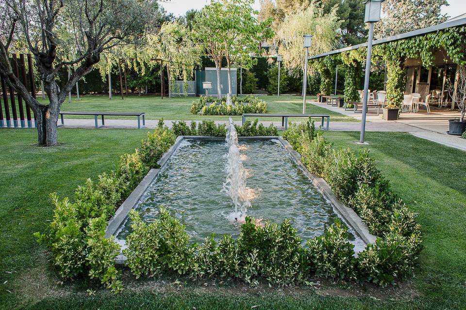 Jardín olivos