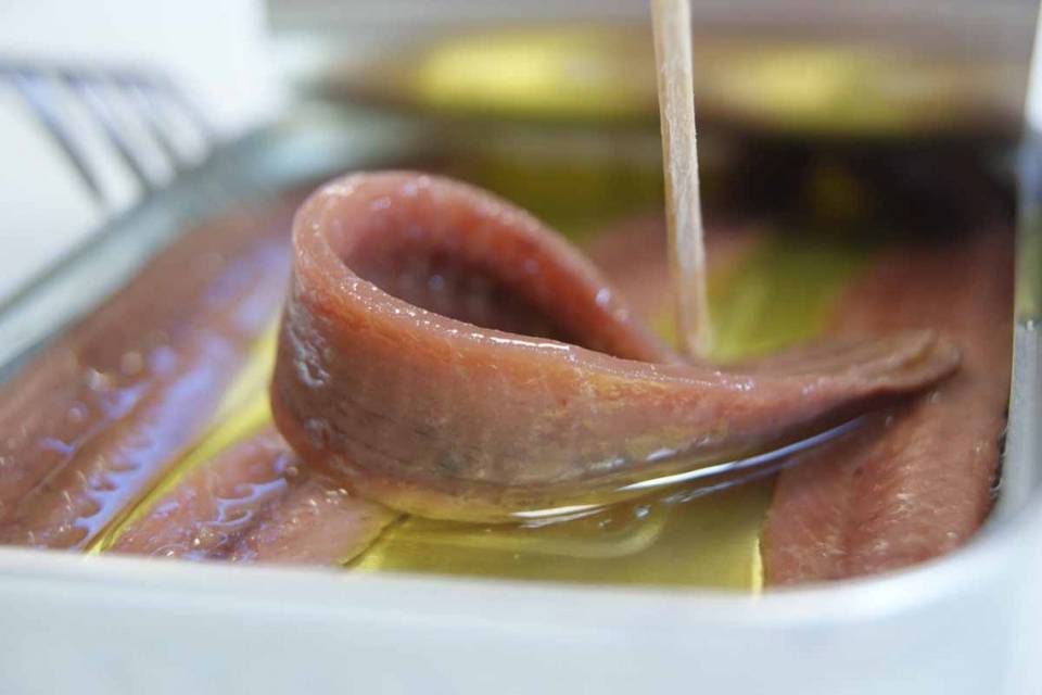 Selección de anchoas