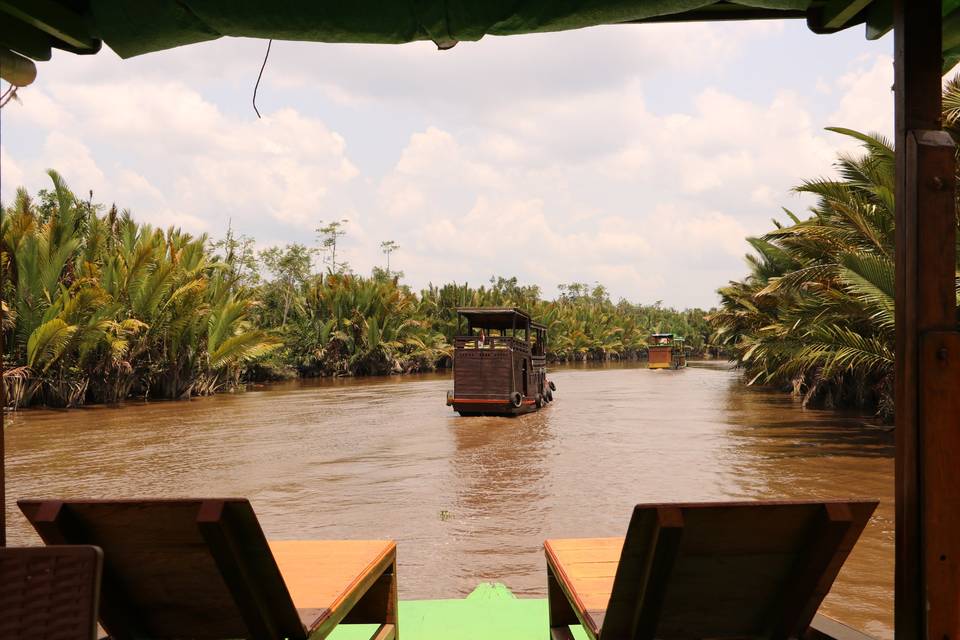Selva Borneo