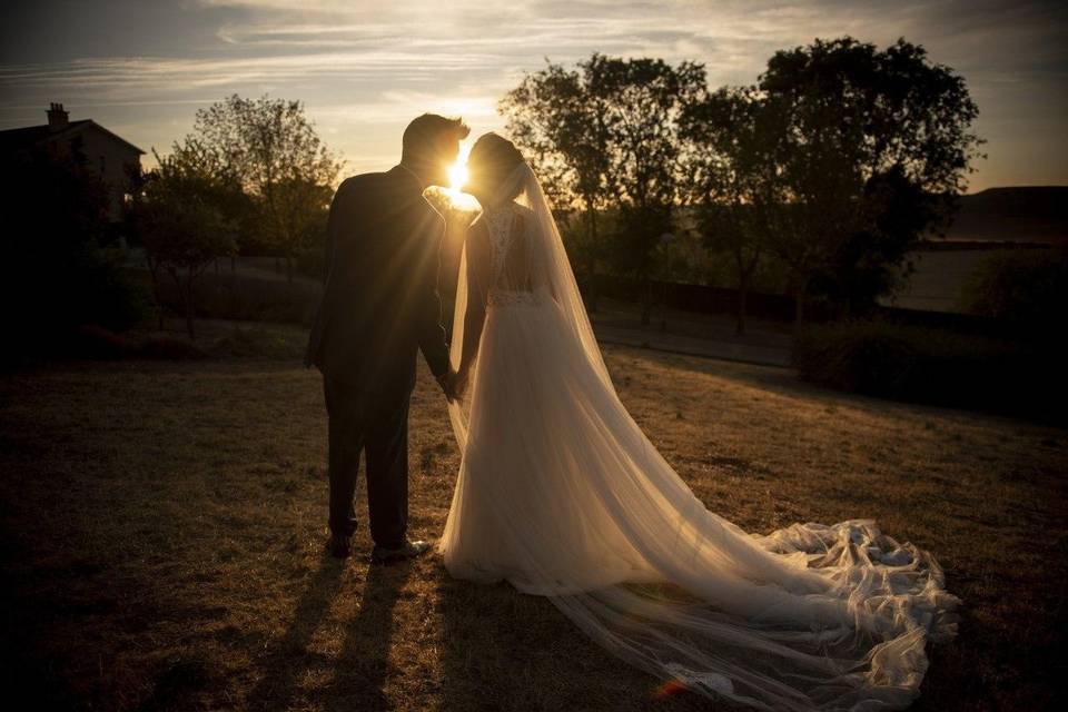 Novios