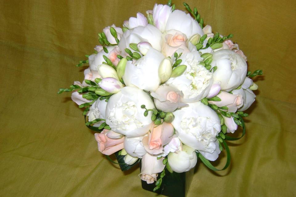 Peonia blanca