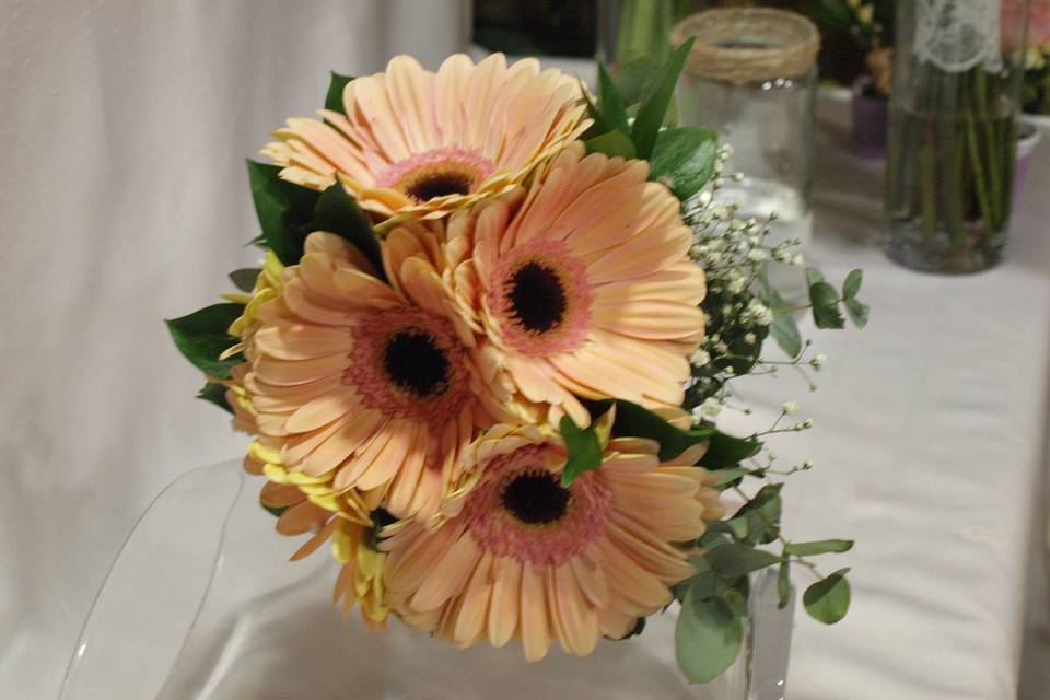 Gerbera