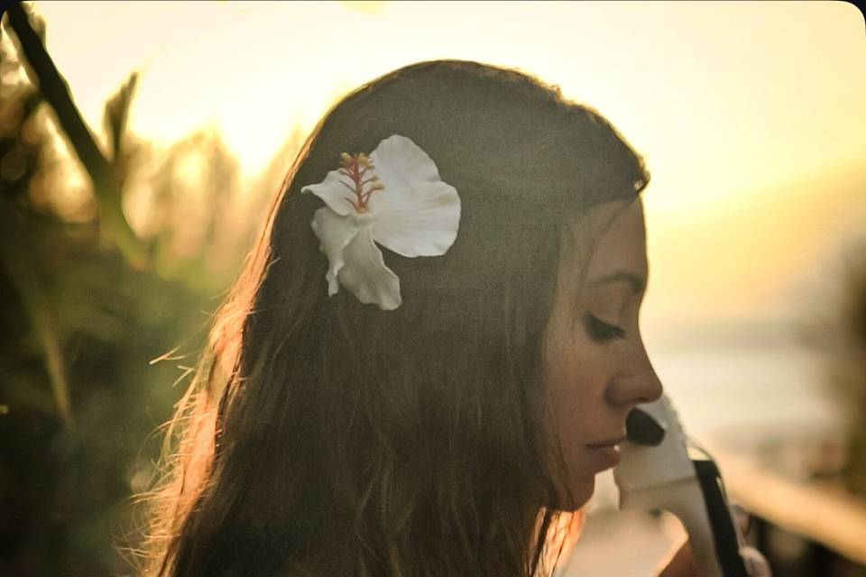 Cello blanco