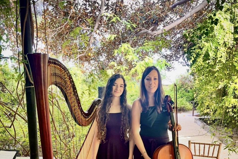 Dúo Arpa y cello