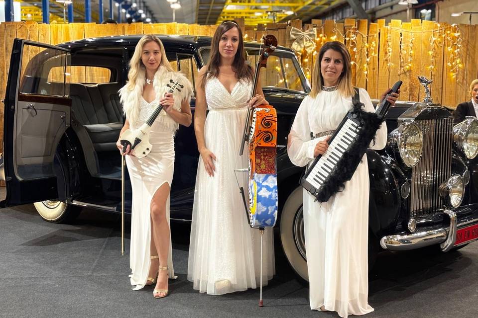 Eventos luxury