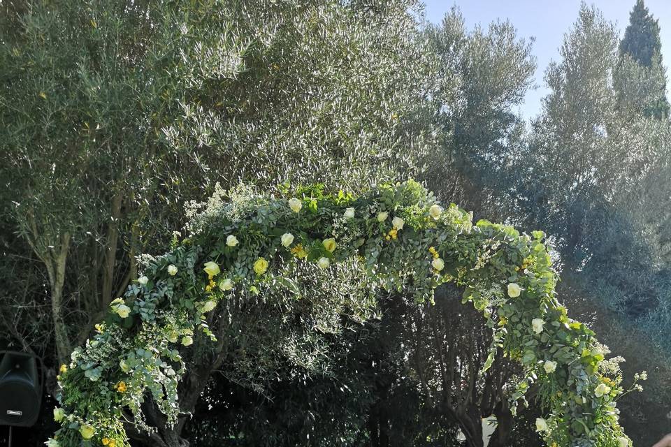 Arcoiris Floristas