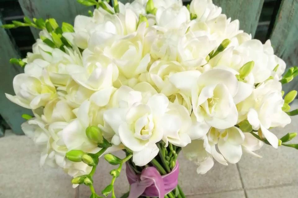 Freesias blancas