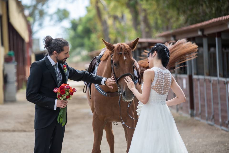 Acariciando un caballo