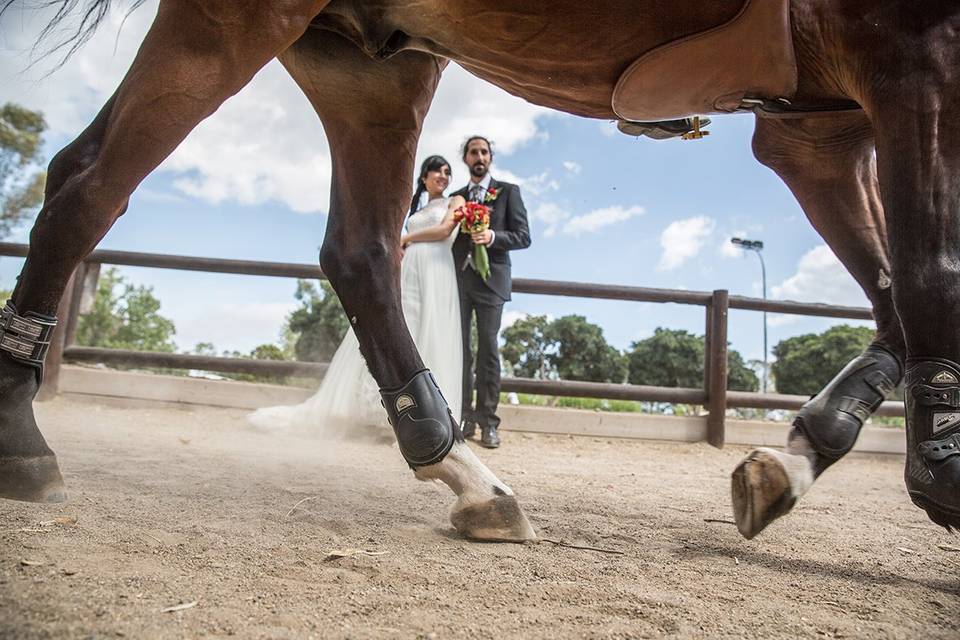 Los novios mirando un caballo