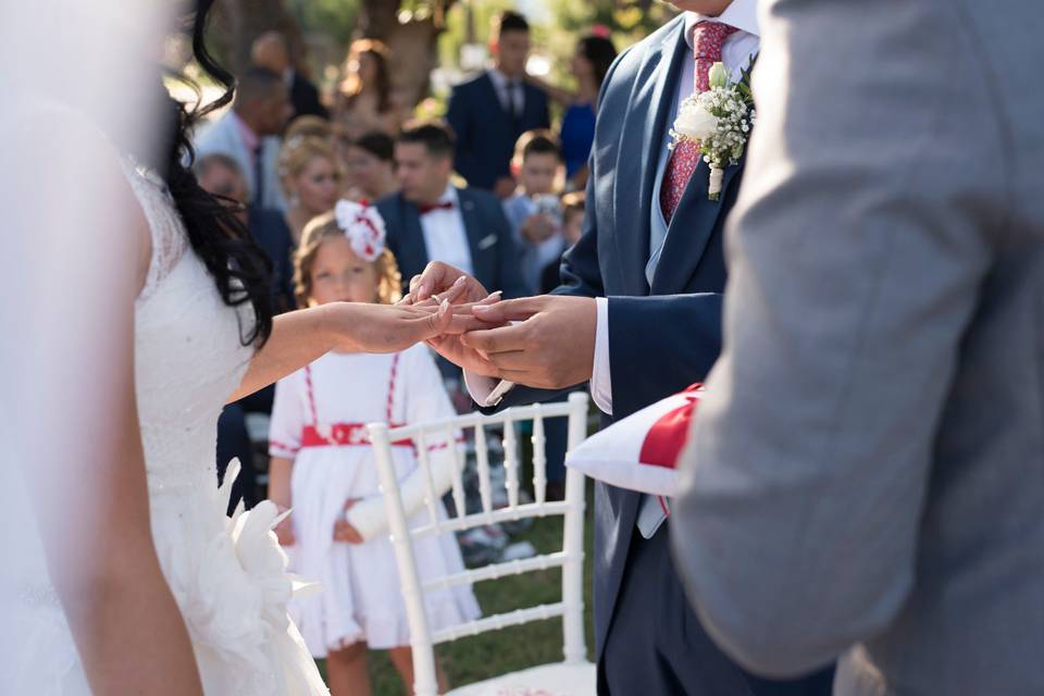 Fotografía profesional de bodas