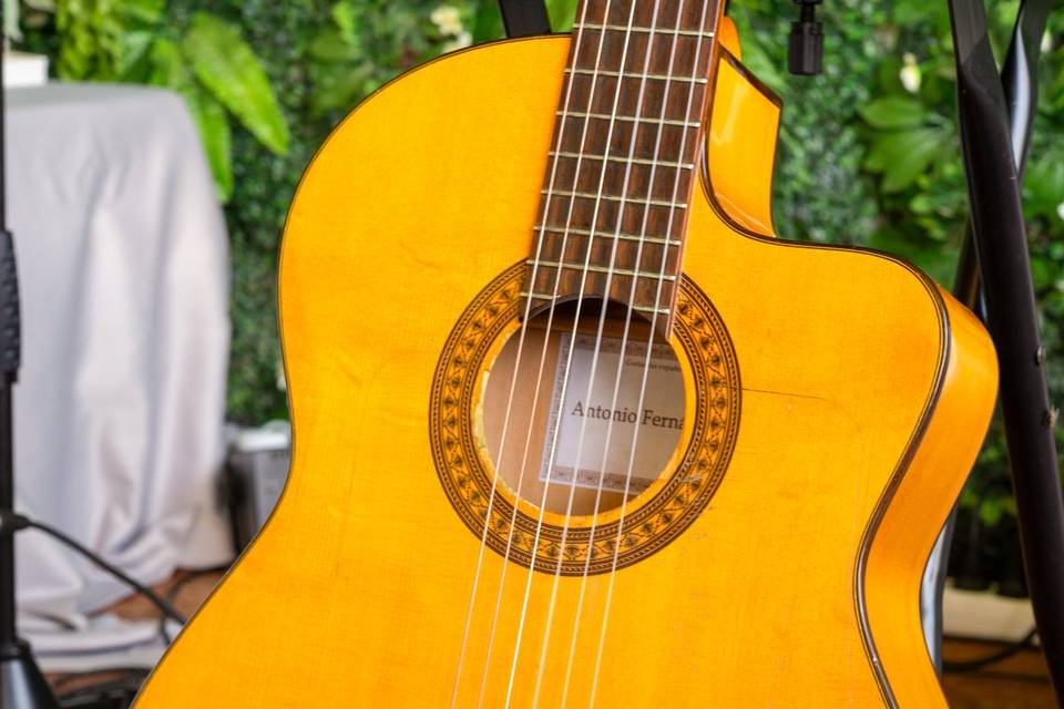 Primer plano de guitarra acústica en soporte