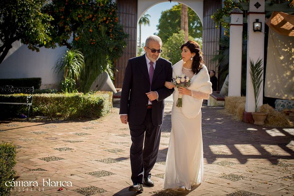 Bodas de invierno