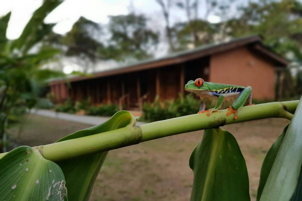 Costa Rica