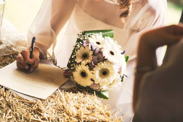 Boda en el campo