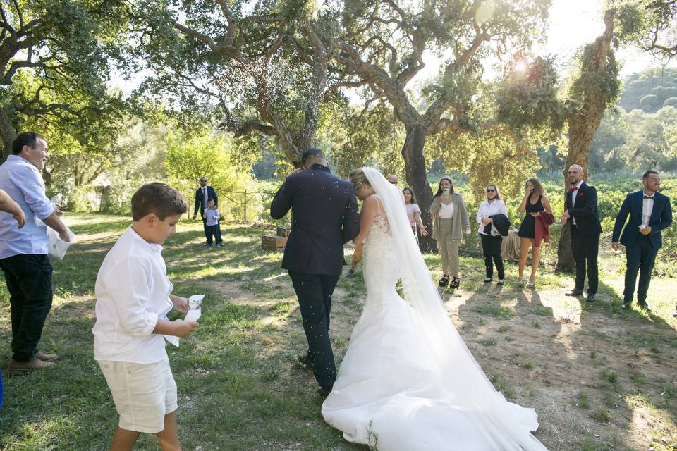 Boda San Roque