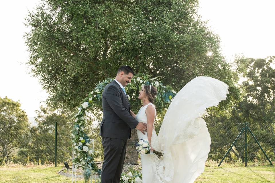 Momento del vestido