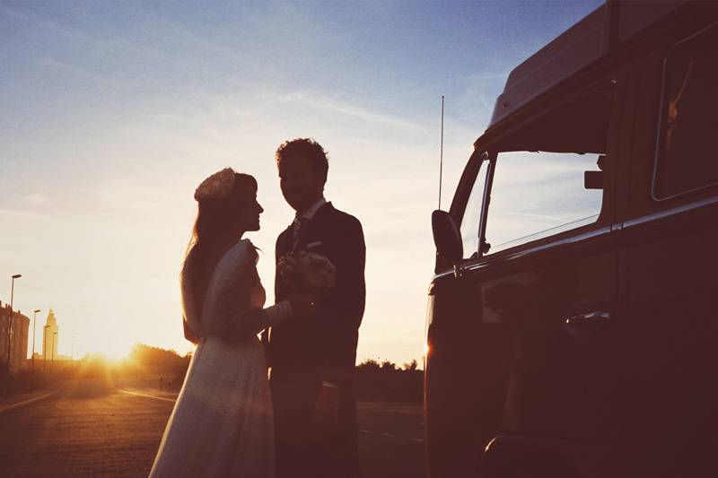 Leafhopper Weddings