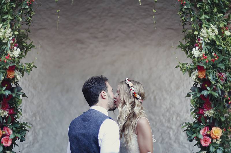 Leafhopper Weddings