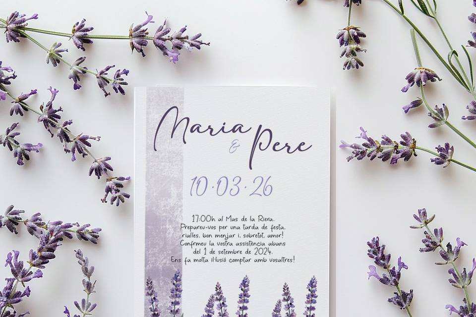 Colección: Lavanda