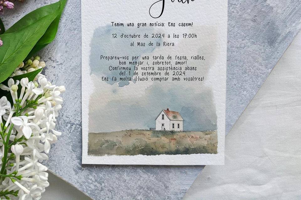 Colección: Home Sweet home