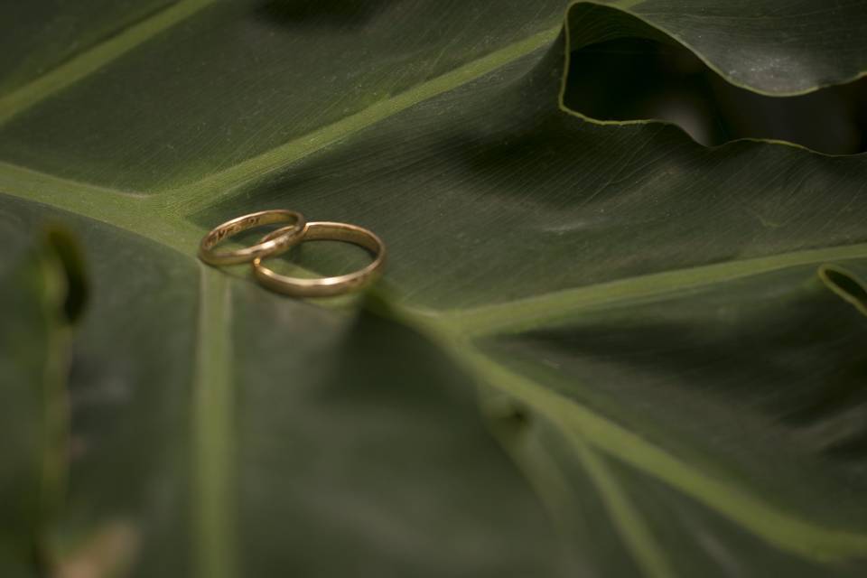 Álbum boda diseño