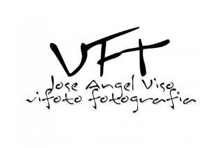VFT logo