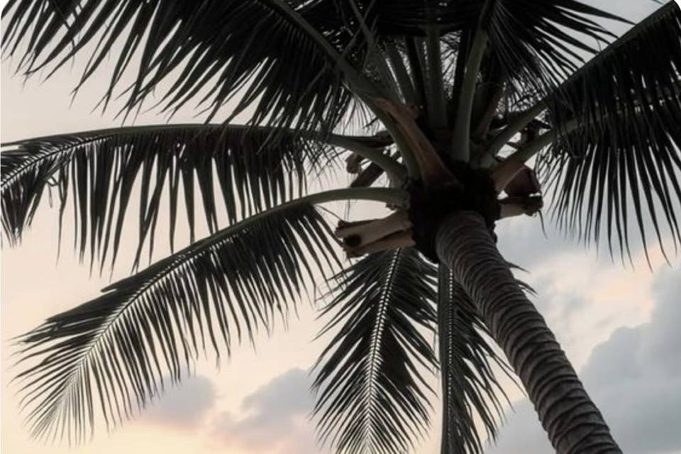 Seychelles