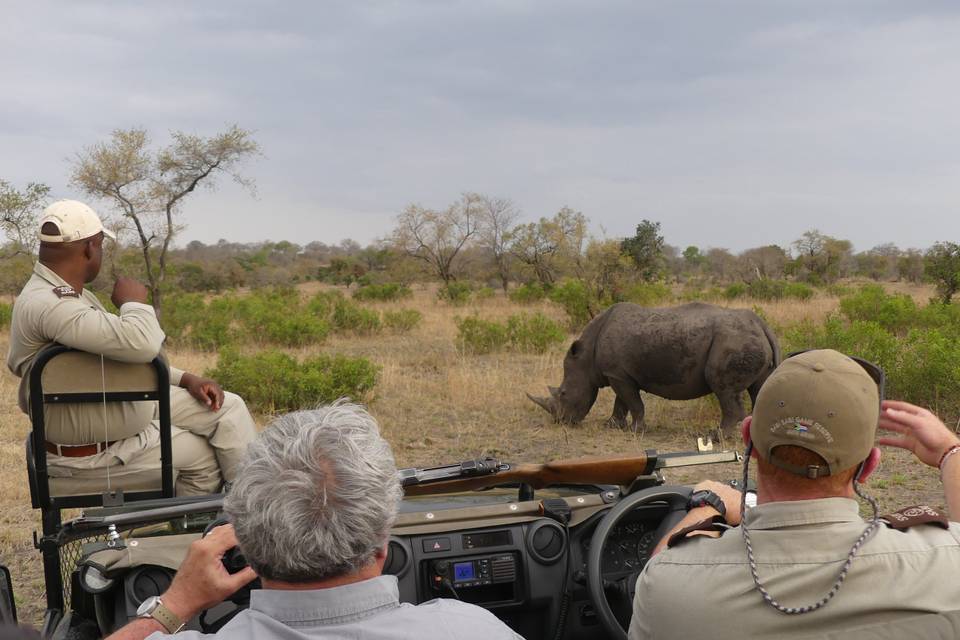 Sabi Sabi, Sudáfrica