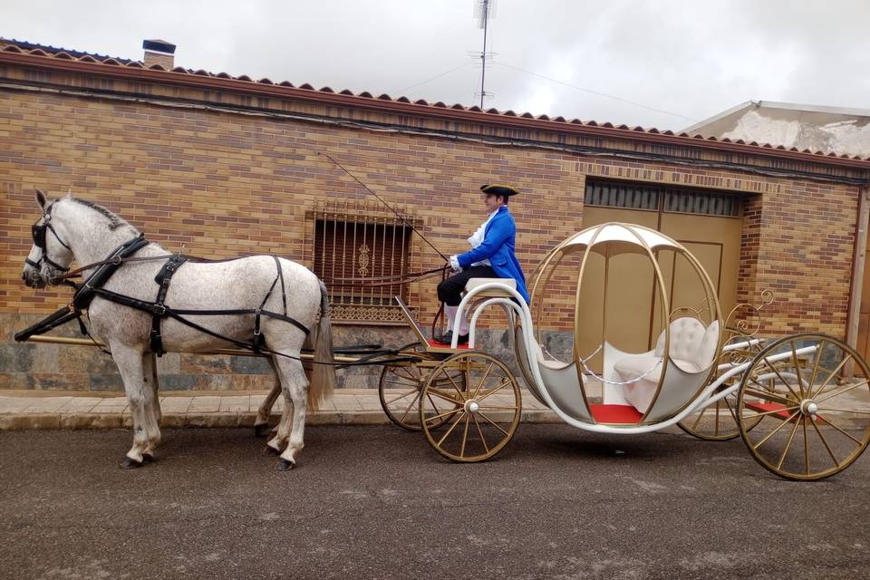 Carroza